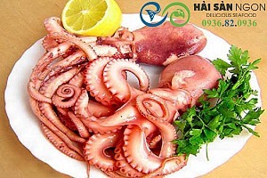 Bạch tuộc - con ruốc