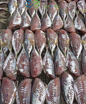 Cá nục một nắng lột da