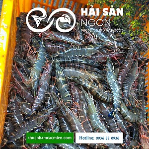 Tôm vằn - Món ăn chứa hàm lượng dinh dưỡng cao